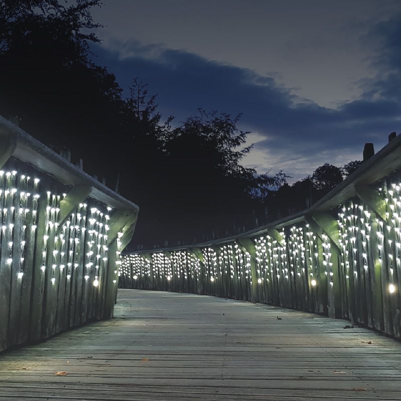 Speciality Lighting